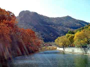 大三巴一肖二码最准，手动注油器